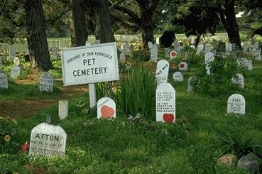 Presidio$pet-cemetery-ii.jpg