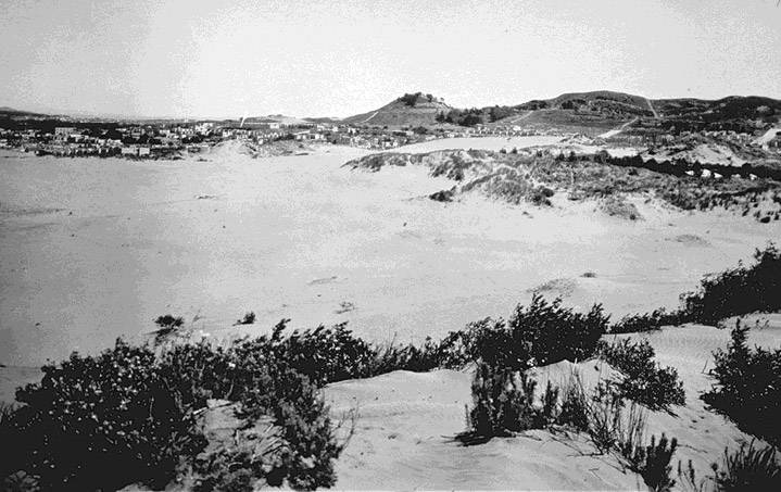 File:Richmond dunes looking towards lone mtn late 19th c.jpg