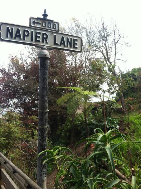 Napier lane.jpg