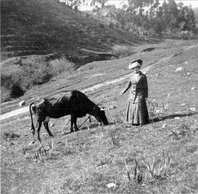 File:Elise Beneke Tietz with cow in Glen Canyon c1909 AAD-2705.jpg