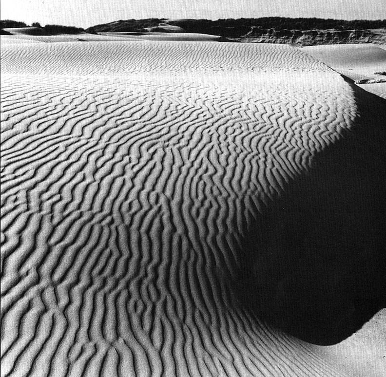 Nipomo-dunes.jpg