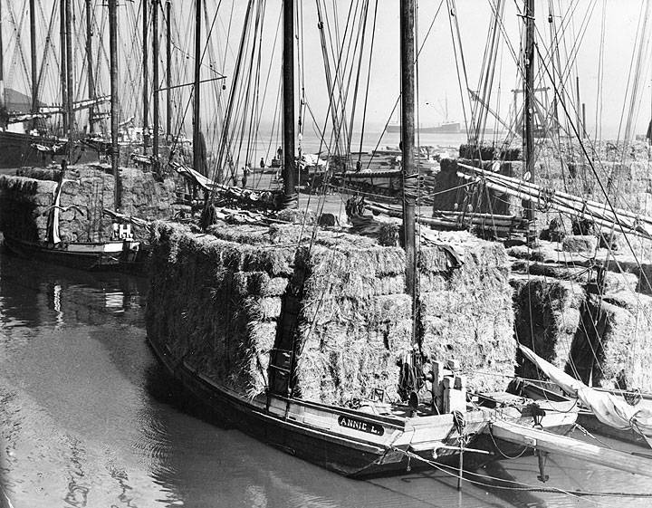 File:Annie-L-scow-schooner-with-load-of-hay-A12.5.017pl.jpg