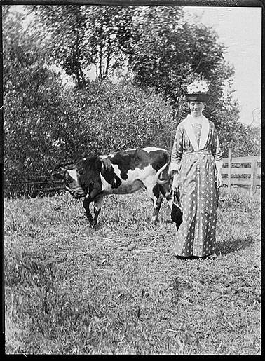Mrs-williams-and-cow 300dpi.jpg