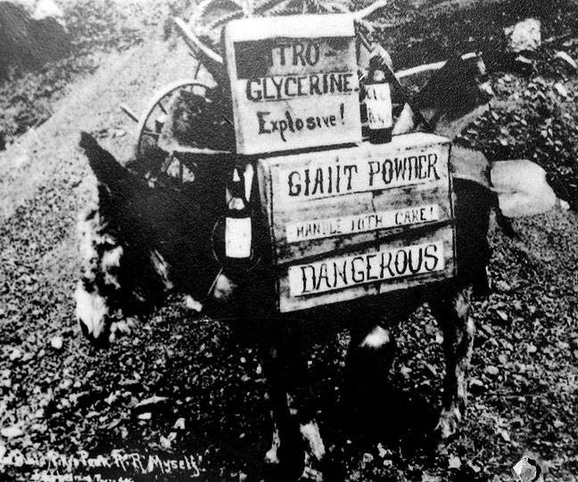 File:Giant-powder-donkey.jpg