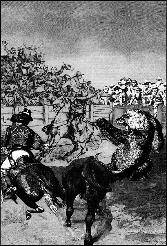 Satty-p-114-bear-bull-fight.jpg