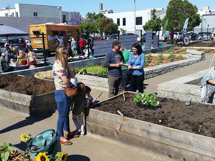 File:New-park-veggie-beds 20170623 161734.jpg