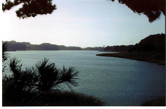 File:Sfsuingl$lake-merced-1996.jpg