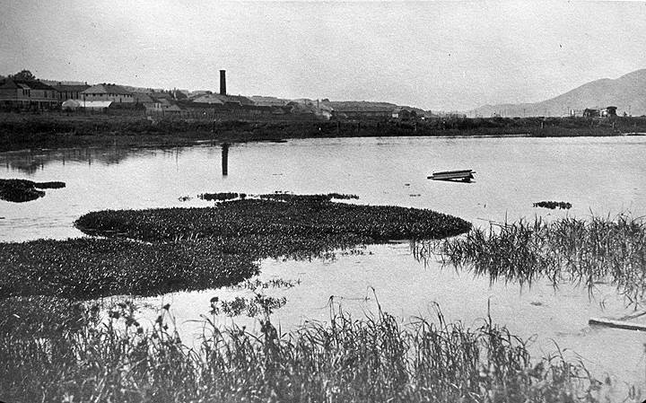 File:Crissy-Field-c-1870s-IMG000.jpg