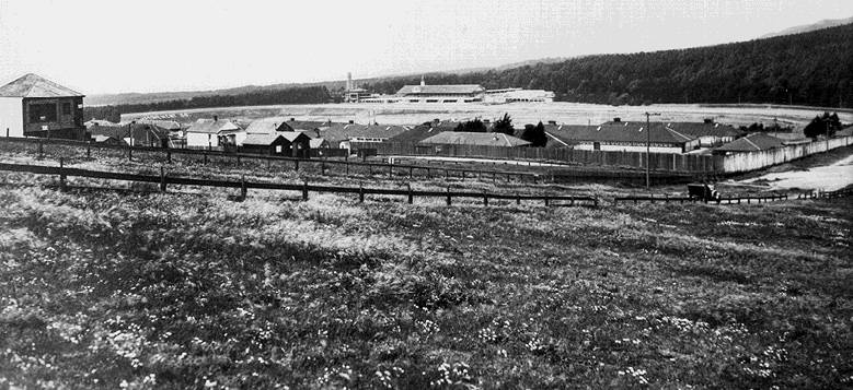File:Racetrack-long-view-1900s.jpg