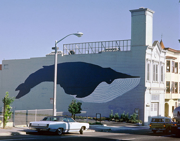 File:5 Whale.jpg