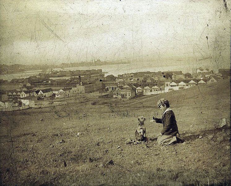 File:Boy-with-dog-on-HP-peninsula-looking-north.jpg