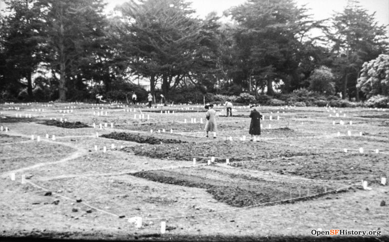Victory garden polos near 9th Ave and Lincoln 1943 opensfhistory wnp33.03910.jpg