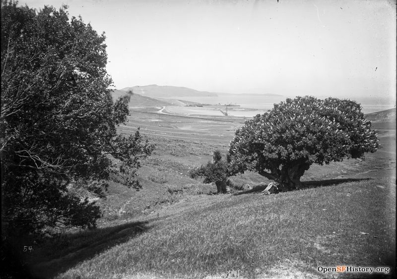 File:1907 Part of a Visitacion Valley set from Worden documenting Southern Pacific construction. View northerly toward the bay, from San Bruno Mountain above Brisbane. Bayview Hill in distance wnp15.760.jpg