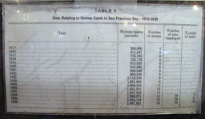 Fish-and-Game-Table-4-data-related-to-shrimp-catch-1915-1930 2835.jpg