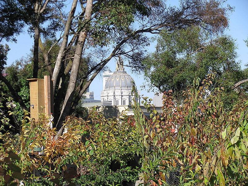 File:City-hall-from-hayes-valley-farm-sept-2010 9083.jpg