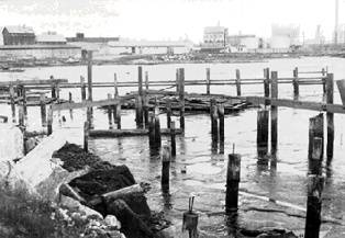 File:Bayvwhp$butchertown-wetlands.jpg