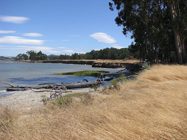 File:Pt-Pinole-north-shore-cliffs 8973.jpg