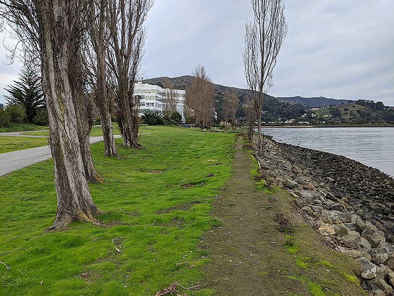 File:Sierra-Pt-north-shore-looking-west 20200119 132048.jpg