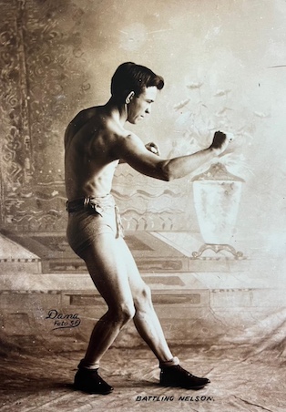 Battling Nelson by Dana Ruff Collection.jpg