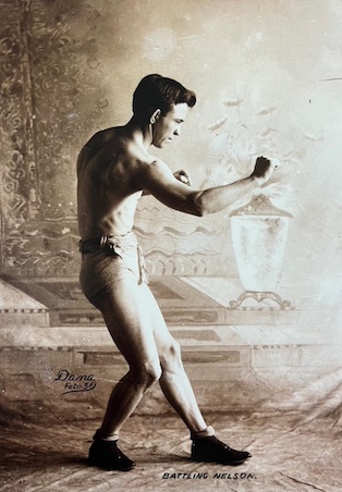 File:Battling Nelson by Dana Ruff Collection.jpg