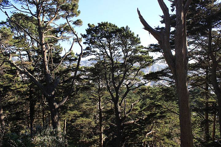 File:Strawberry-hill-view-towards-inner-sunset 4520.jpg