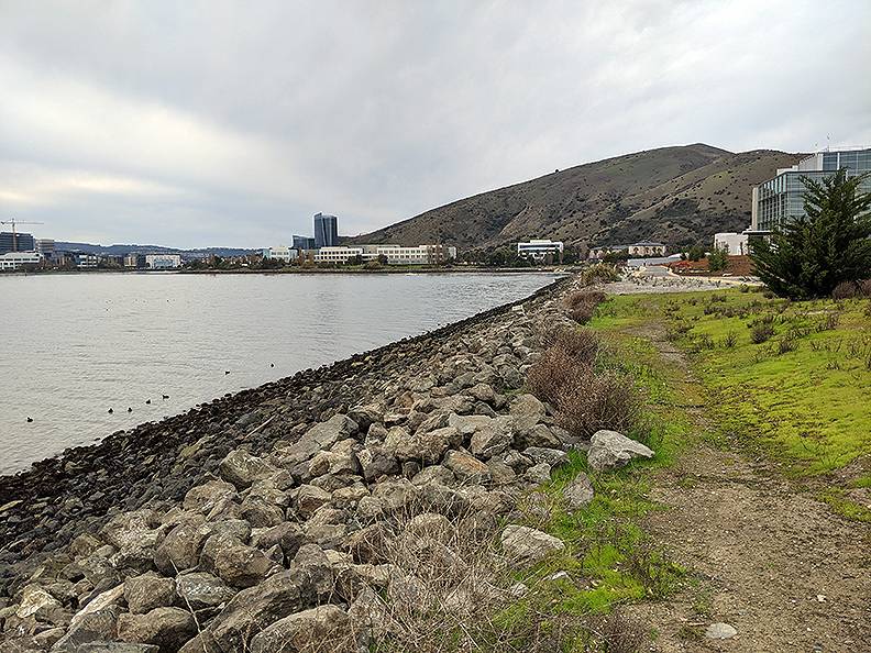 File:Sierra-Pt-south-shore-looking-west 20200119 131637.jpg