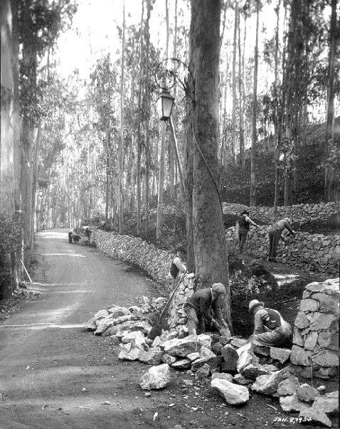 Jan-8-1934-workers-fix-retaining-wall-at-Stern-Grove.jpg