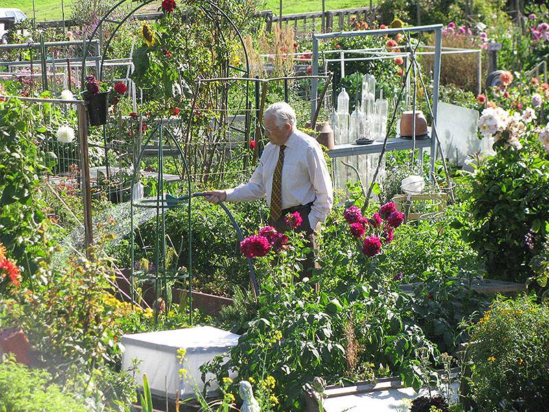 File:Fort-Mason-Community-Garden-watering-in-tie-aug-2009 1211.jpg