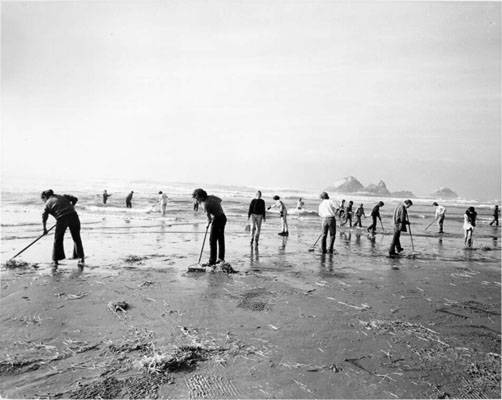 Oil spill cleanup ocean beach 1971 AAB-9966.jpg