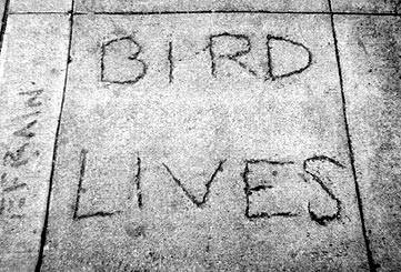 File:Cement bird lives.jpg