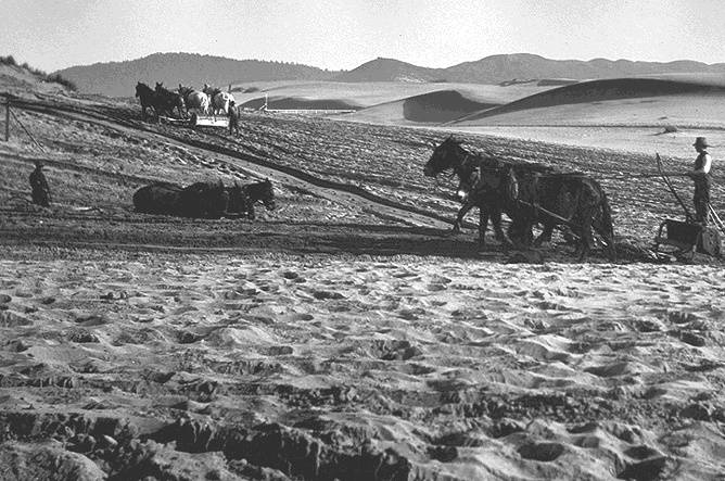 File:Richmond$plowing-dunes-with-horses.jpg