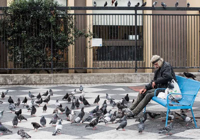Swan-pigeons-bench Julio-Marcial.jpg