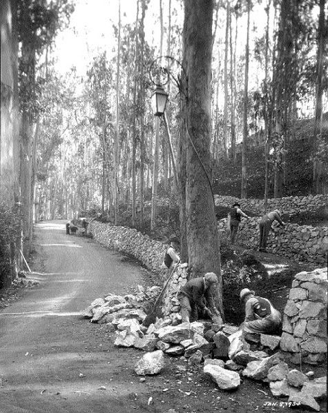 File:Jan-8-1934-workers-fix-retaining-wall-at-Stern-Grove.jpg