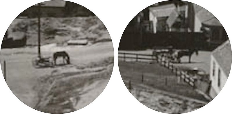 File:1907-bernal-horses.jpg
